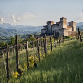 ACCOMPAGNATORE TURISTICO ONLINE