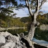 ACCOMPAGNATORE TURISTICO ONLINE