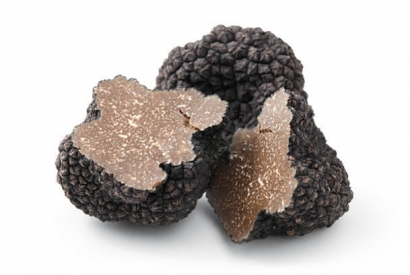 IL TARTUFO DALLA TERRA ALLA TAVOLA