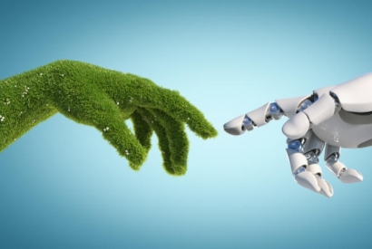 MEET TO WORK: formazione nel GREEN e DIGITALE 